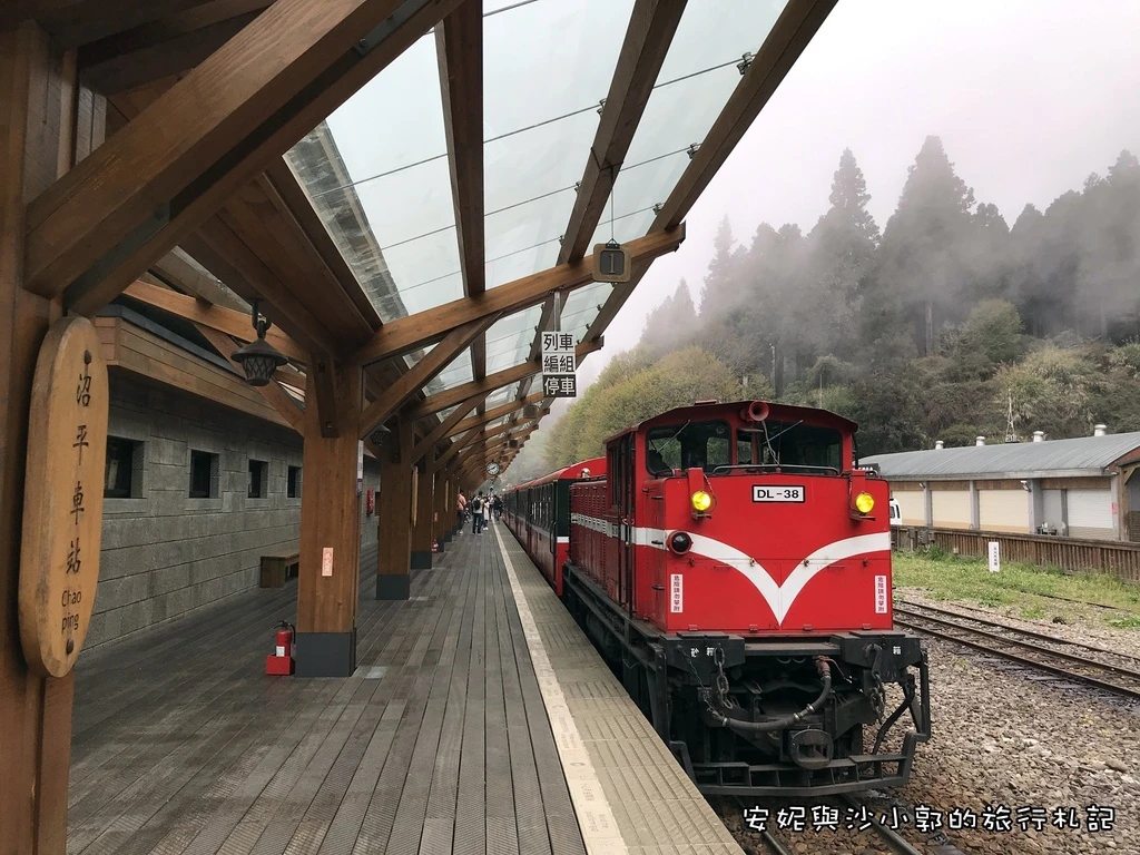 2023阿里山櫻花季》最新花況、7大賞櫻景點、交通管制、免費接駁車