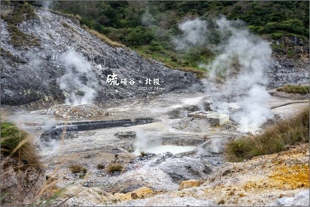 2023陽明山海芋季》竹子湖海芋園、採海芋活動、交通資訊